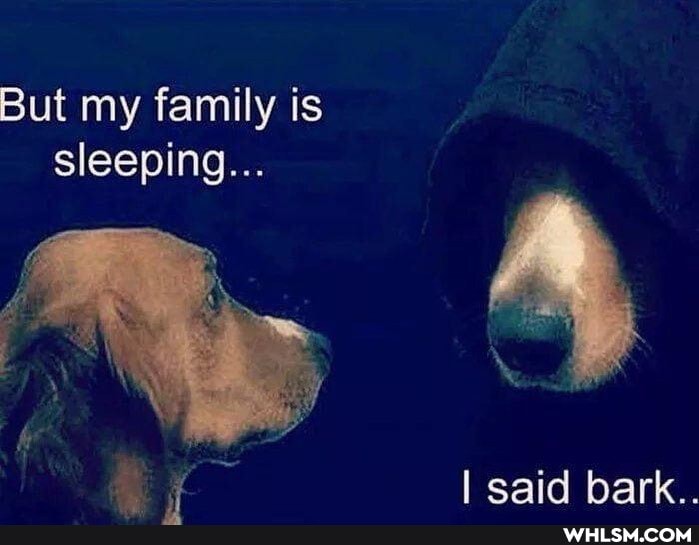 But my family is sleeping...
I said bark..