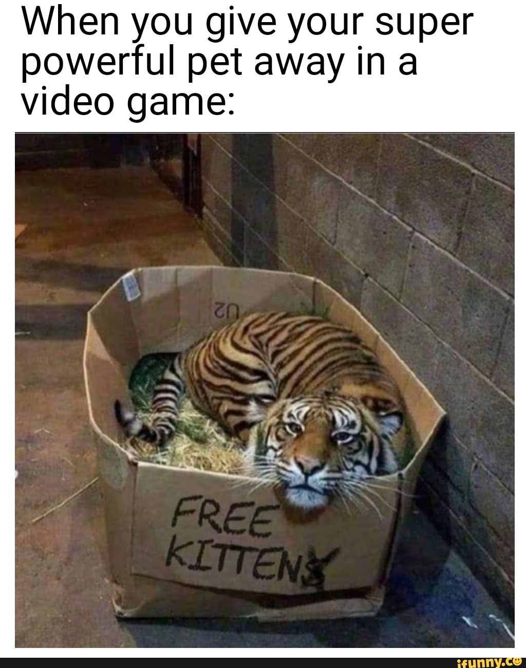 When you give your super powerful pet away ina video game: