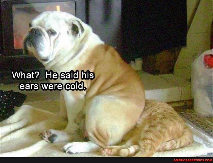 What? He said his ears were cold,
