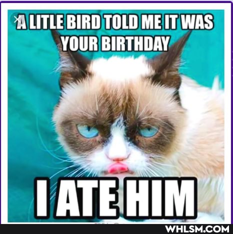 LITLE BIRD TOLD ME IT WAS YOUR BIRTHDAY
TATE HIM