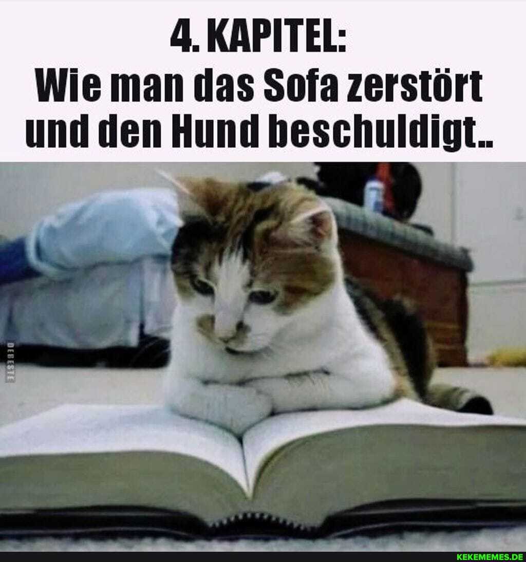 4.KAPITEL:
Wie man das Sofa zerstört und den Hund beschuldigt.