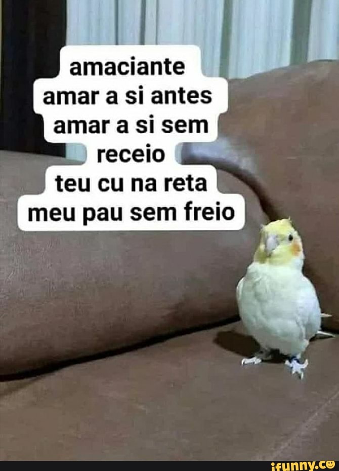 amaciante
amar a si antes
amar a si sem
receio
teu cu na reta
meu pau sem freio