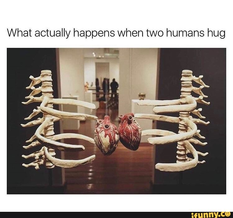 What actually happens when two humans hug iFunny