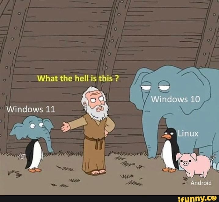 What the hell is this ? Windows 10 Andrd Windows 11 - iFunny