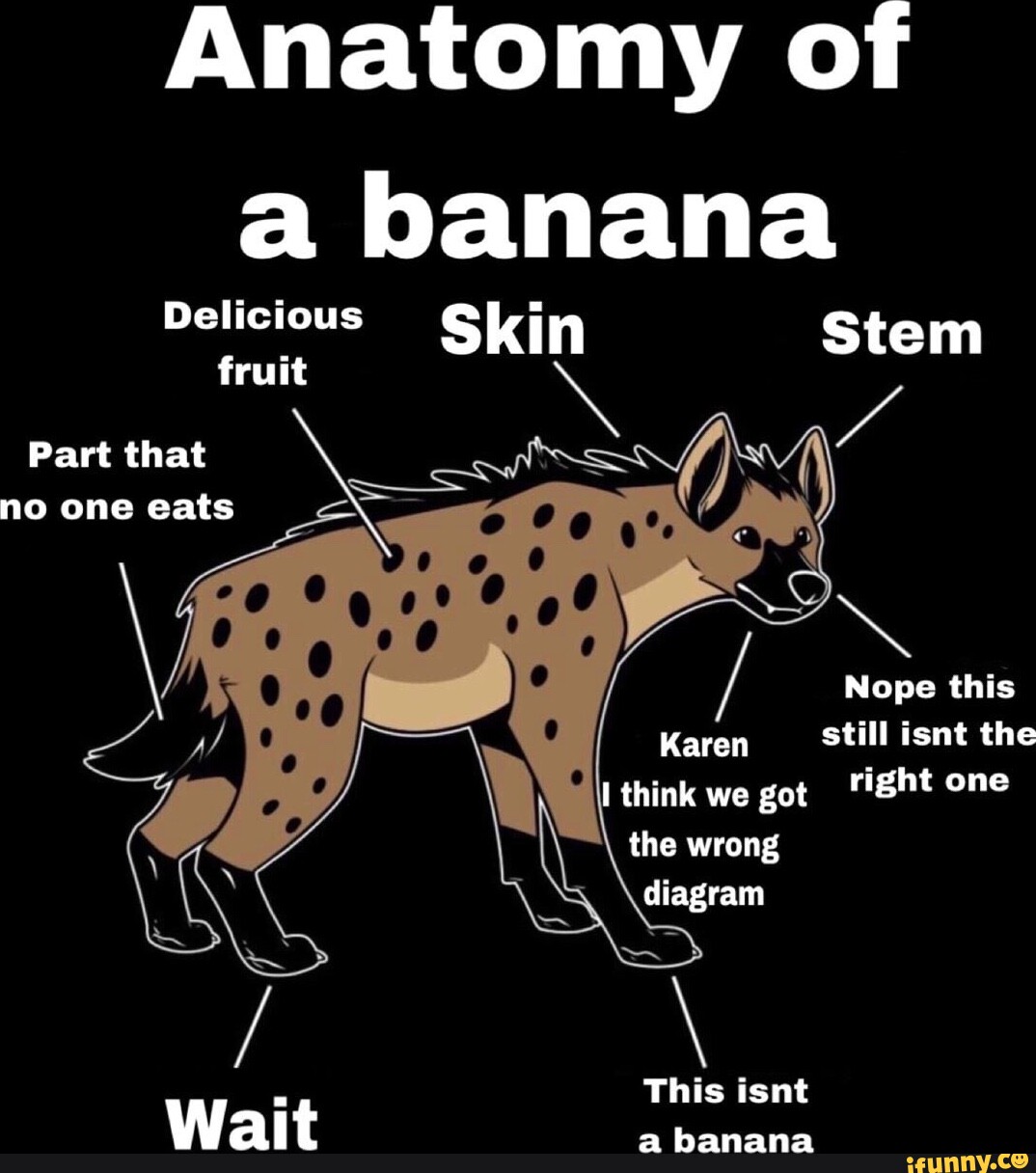 Anatomy of a banana Delicious Skin Stem fruit Part that no one eats ...