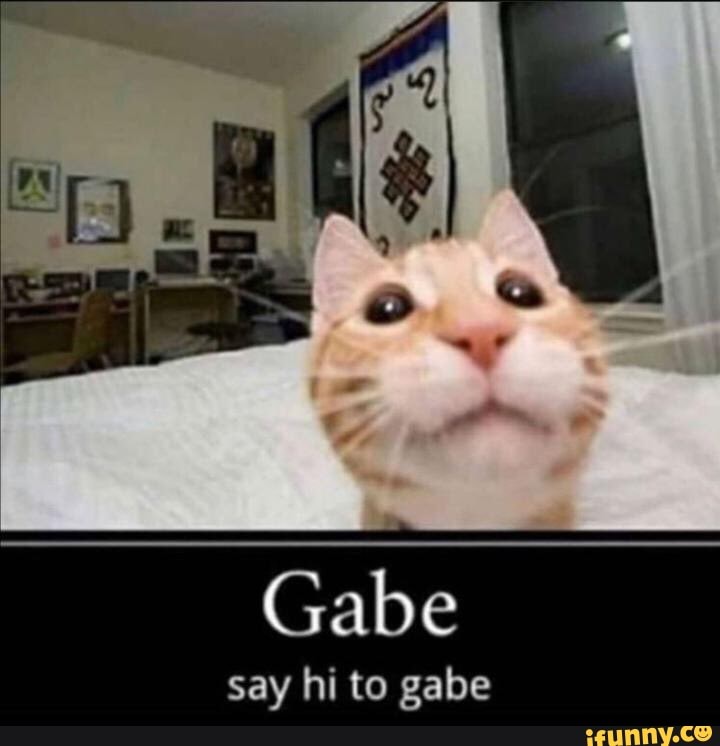 Gabe say hi to gabe