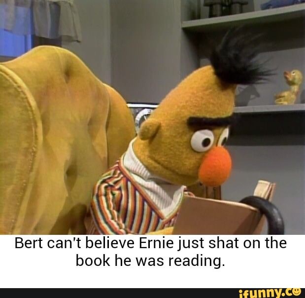 S Bert Cant Believe Ernie Just Shat On The Book He Was - 