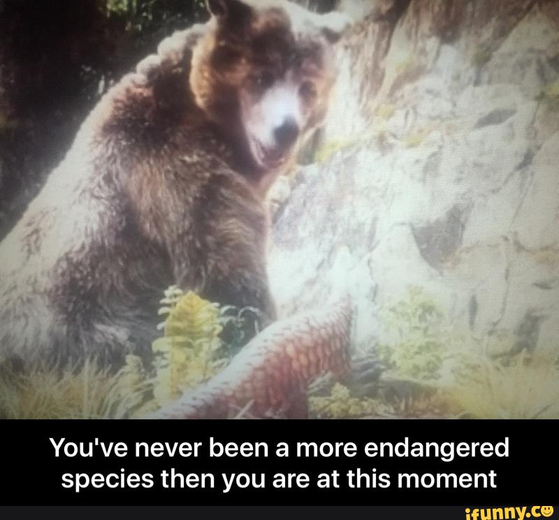 You've never been a more endangered
species then you are at this moment - You've never been a more endangered species then you are at this moment