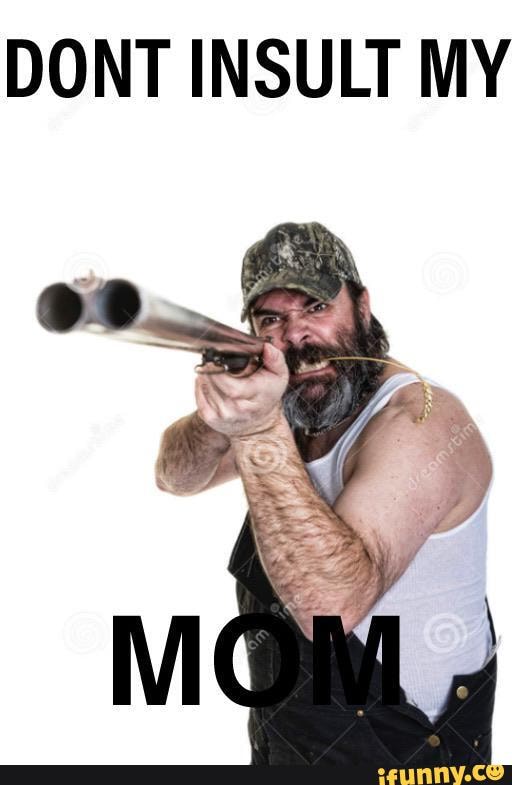 DONT INSULT MY
