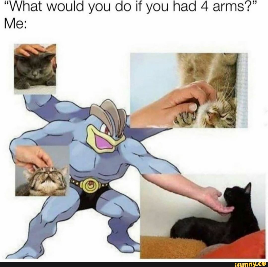 "What would you do if you had 4 arms'?"