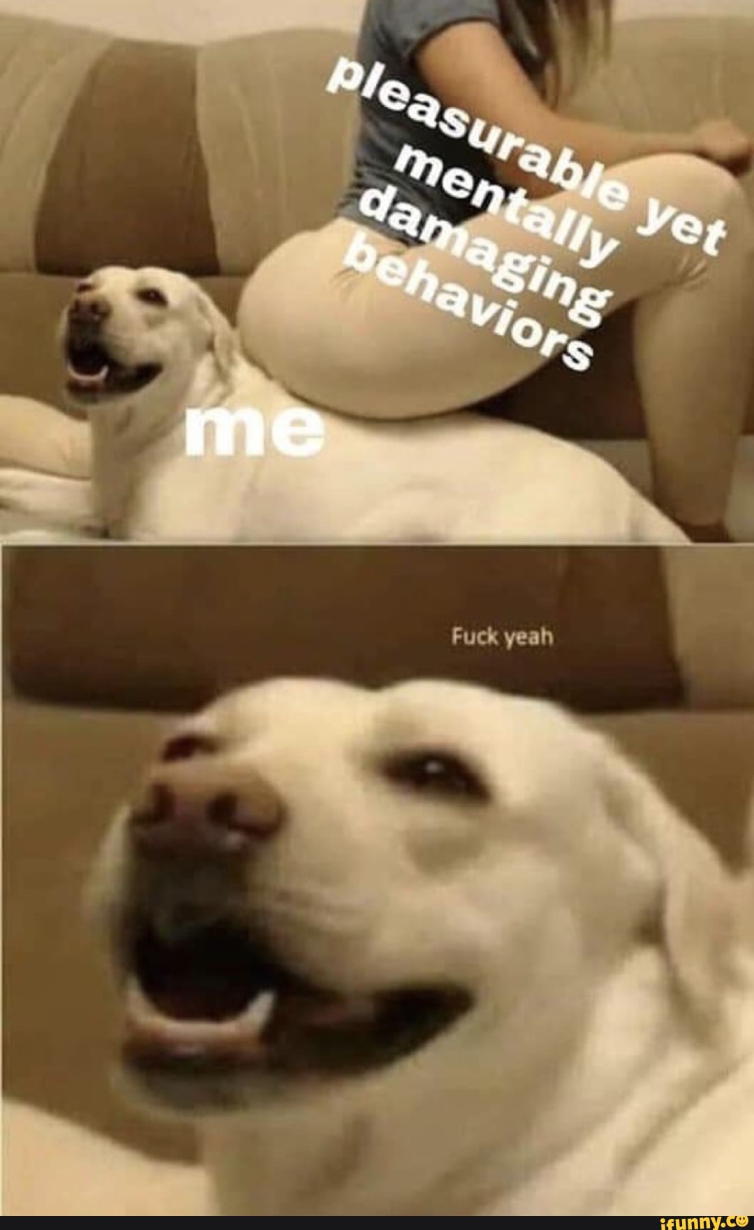 funny, wholesome, spicy, tumblr, featureworthy, feature, 10at10, alternatefeatures, ifunncleanup, tagwhore