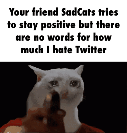 sadcats