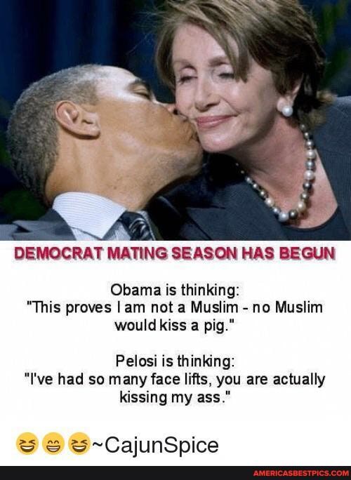 SS
DEMOCRAT MATING SEASON HAS BEGUN
Obama is thinking:
"This proves I am not a Muslim - no Muslim would kiss a pig."
Pelosi is thinking:
"I've had so many face lifts, you are actually kissing my ass."
25
