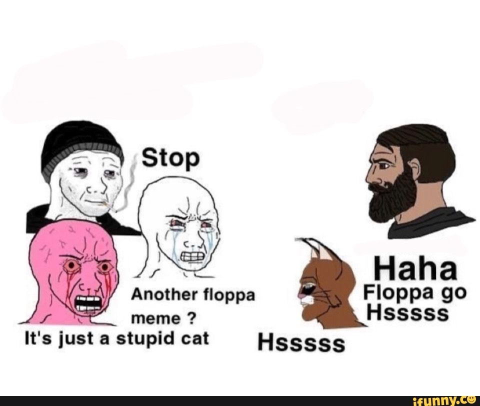 Go follow @floppa_doppa if you haven't already. The Floppa memes