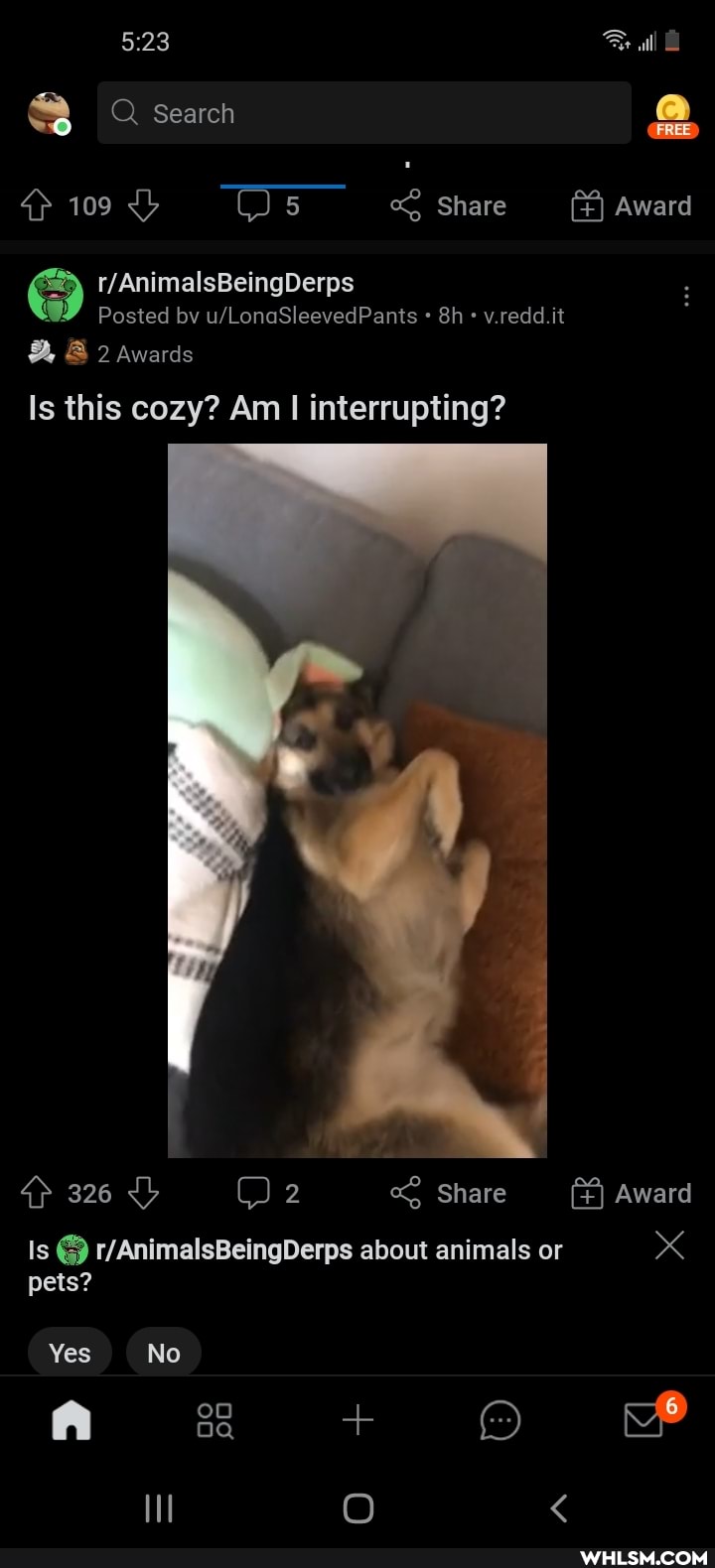 ll
83 Q Search
109 <b "6 Share Award
Posted bv it
& 2 Awards
Is this cozy? Am I interrupting?
qp 326 Share Award
Is about animals or x pets?
Yes No
ll O <