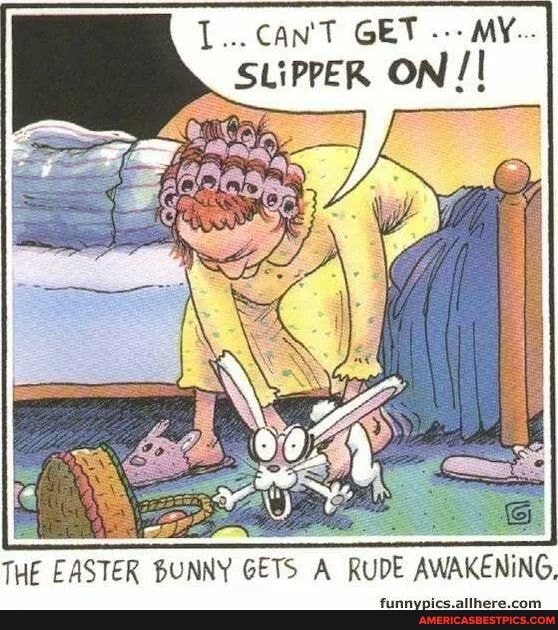 CAN'T GET MY.
SLIPPER ON /I
THE EASTER BUNNY GETS A RUDE AWAKENING,