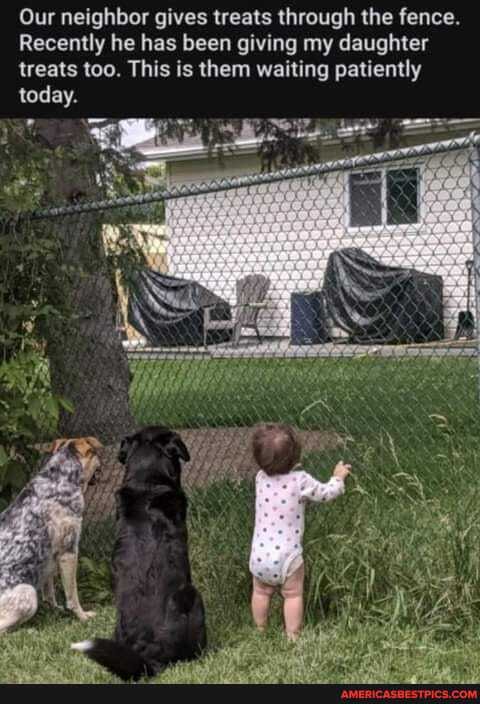 Our neighbor gives treats through the fence.
Recently he has been giving my daughter treats too. This is them waiting patiently today.