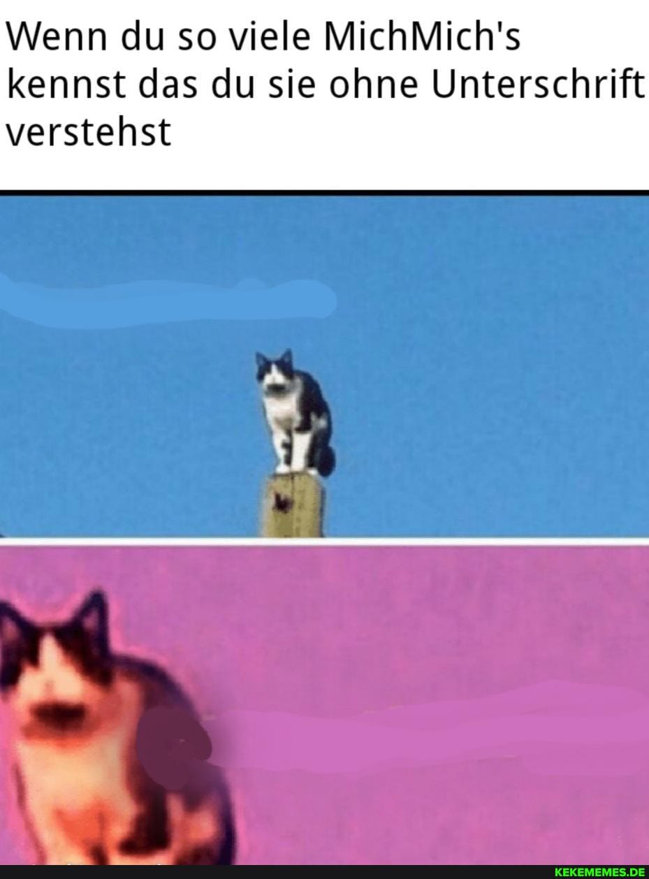 Wenn du so viele MichMich's kennst das du sie ohne Unterschrift
verstehst