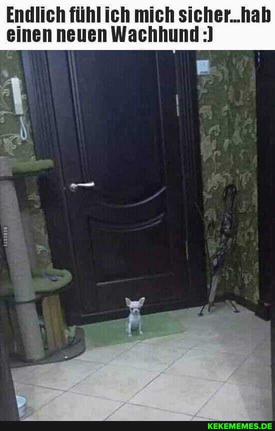 Endlich fühl ich mich sicher..hab einen neuen Wachhund