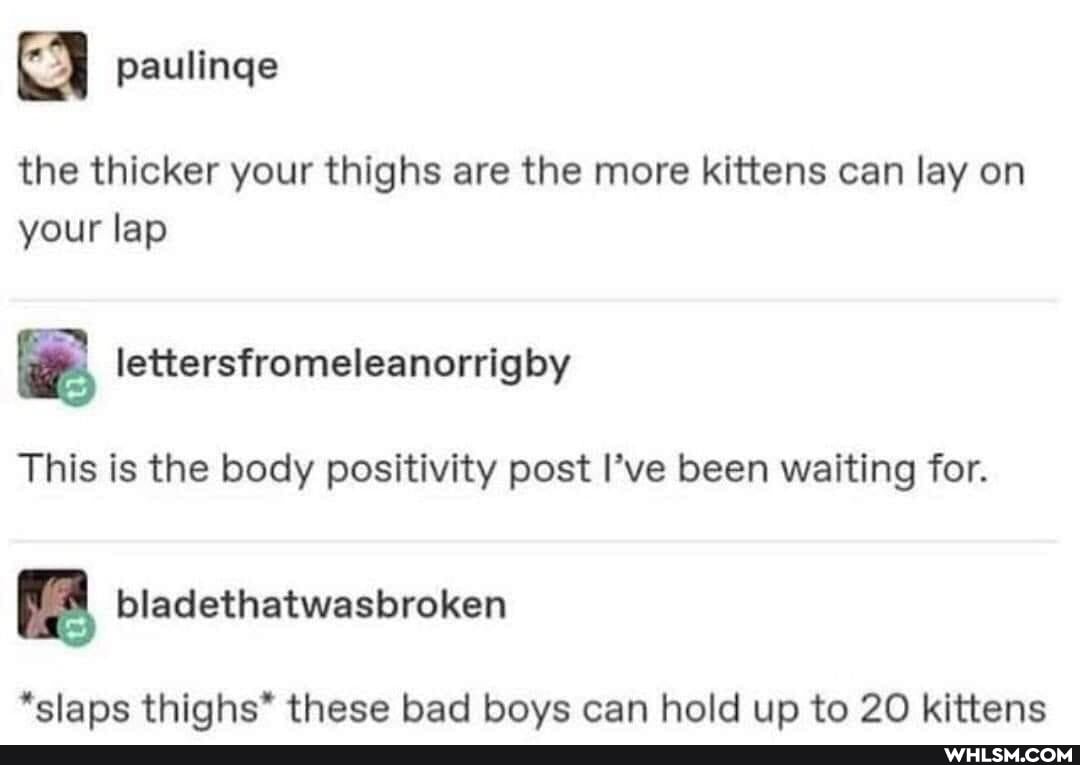paulinge
the thicker your thighs are the more kittens can lay on your lap
lettersfromeleanorrighy
ol bladethatwasbroken
This is the body positivity post I've been waiting for.
*slaps thighs" these bad boys can hold up to 20 kittens