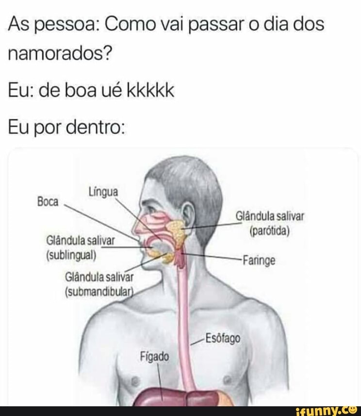 As pessoa: Como vai passar o dia dos
namorados?
Eu: de boa ué kkkkk
Eu por dentro:
Boca
Glândula: salivar
Glândula salivar
ana
(sublingual)
Glândula salivar
(submandibular)