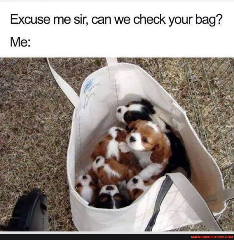 Excuse me sir, can we check your bag?
Me: