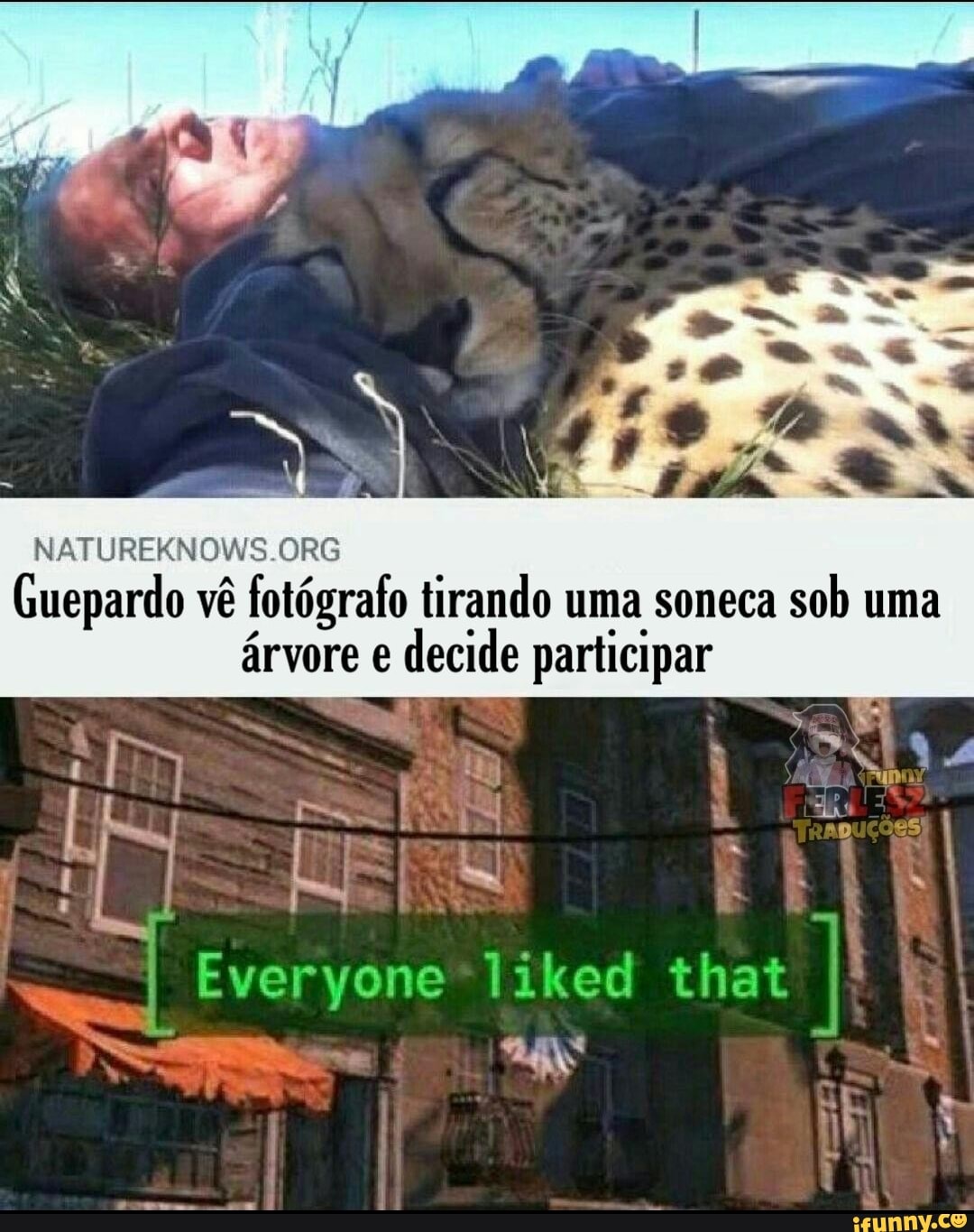 NATUREKNOWS ORG
Guepardo vê fotógrafo tirando uma soneca sob uma árvore e decide participar
Everyone'liked that
(XY
RE