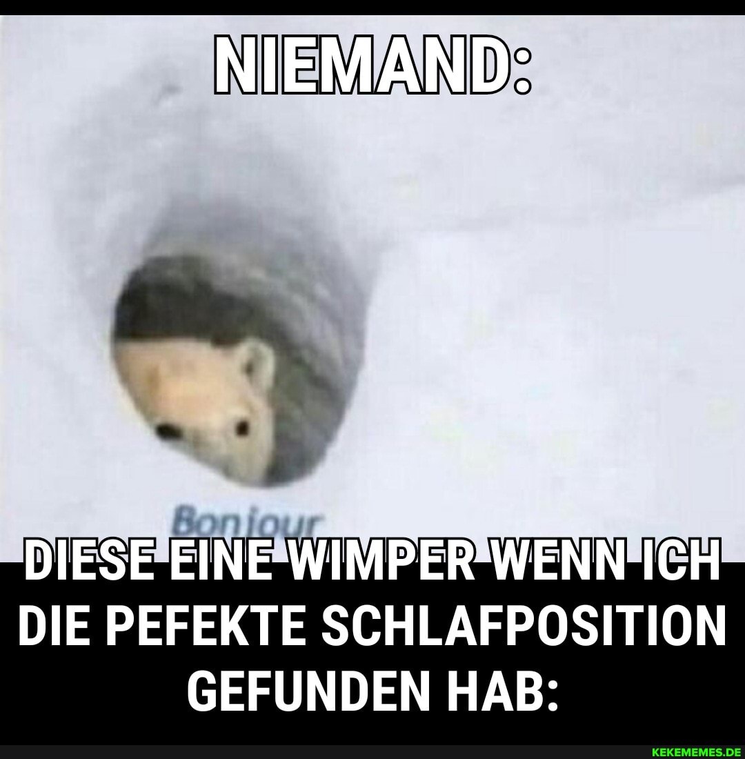 NIEMAND:
DIESE EINE WIMPER WENN ICH DIE PEFEKTE SCHLAFPOSITION GEFUNDEN HAB: