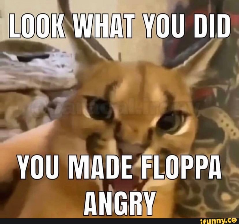 Floppa cat - floppa post - Imgur