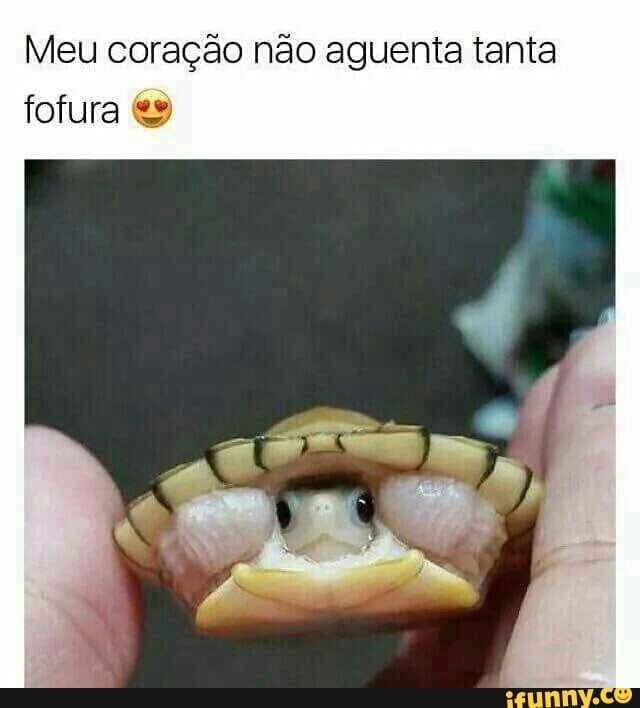Meu coração não aguenta tanta
fofura €9