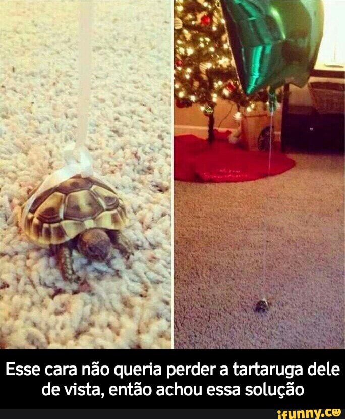 Esse cara não queria perder a tartaruga dele
de vista, então achou essa solução - Esse cara não queria perder a tartaruga dele de vista, então achou essa solução