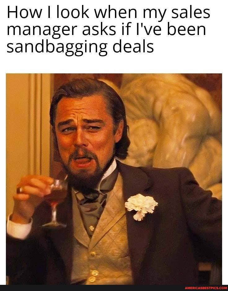 How I look when my sales manager asks if I've been
sandbagging deals