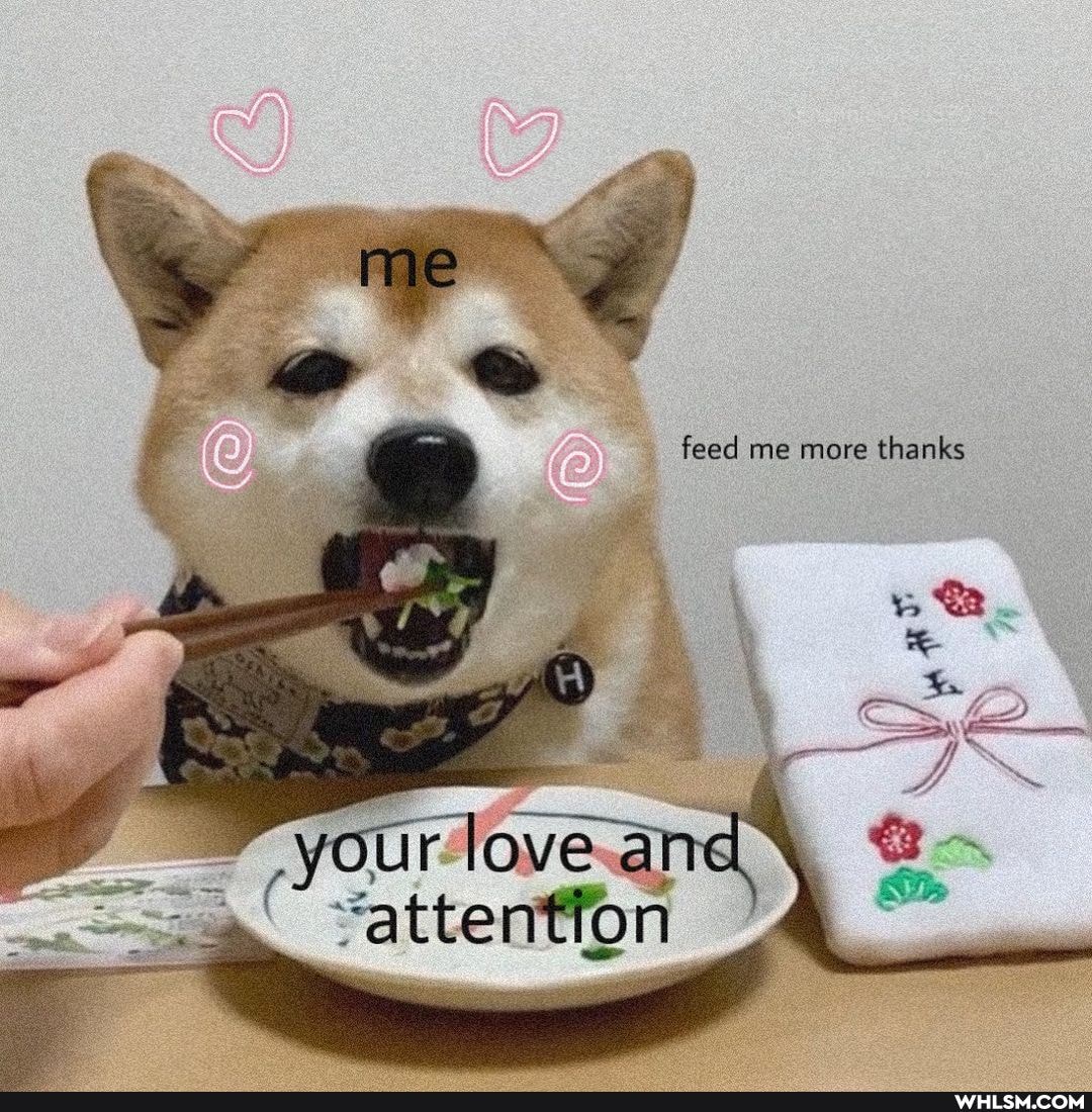 feed me more thanks
your love an
"attentfon