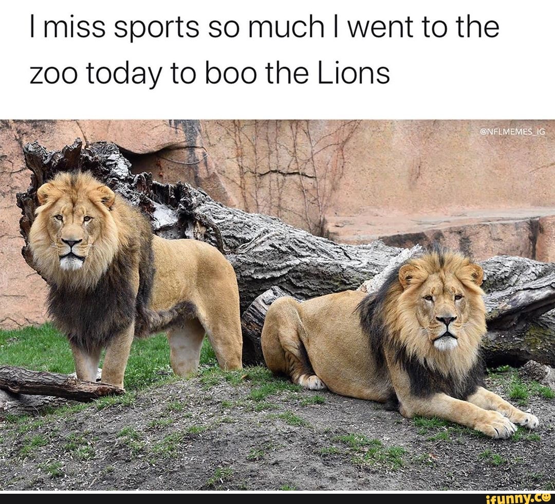 He like going to the zoo