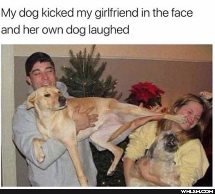 My dog kicked my girlfriend in the face and her own dog laughed