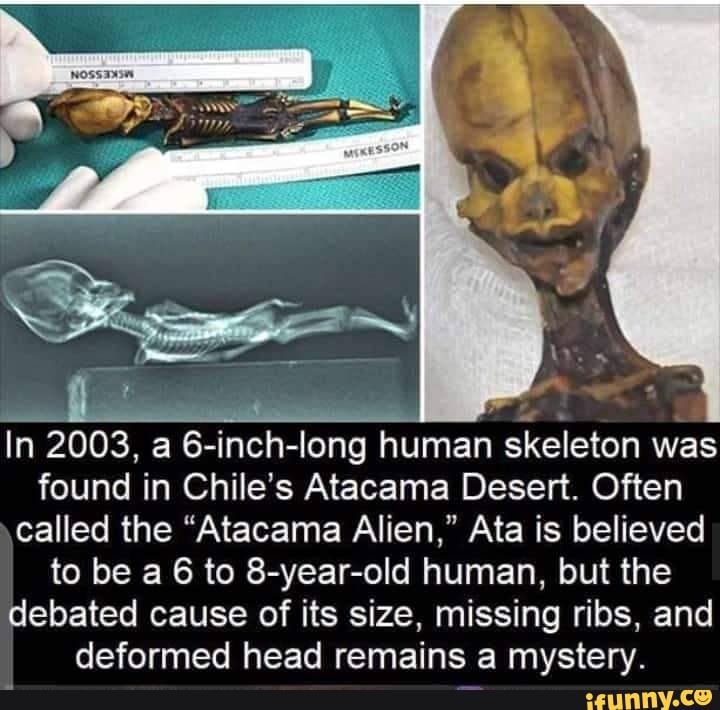 Atacama memes. Best Collection of funny Atacama pictures on iFunny