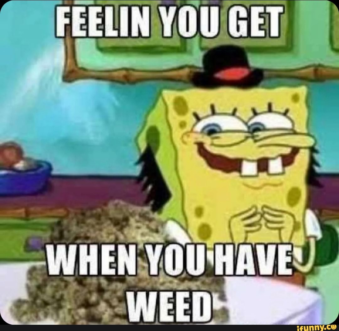 Phrasal verbs в английском языке. Cat laugh meme. When the going gets tough, the tough get going. Цитаты путешественников. Meme about weed.