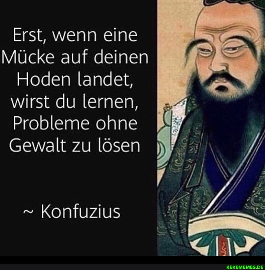 Erst, wenn eine
Mücke auf deinen
Hoden landet, wirst du lernen,
Probleme ohne
Gewalt zu lösen
" Konfuzius