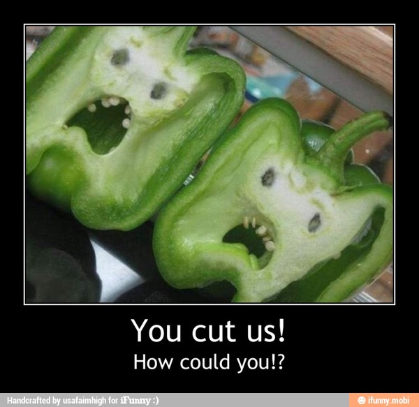 You cut us!
How could you!? - You cut us!
How could you!?