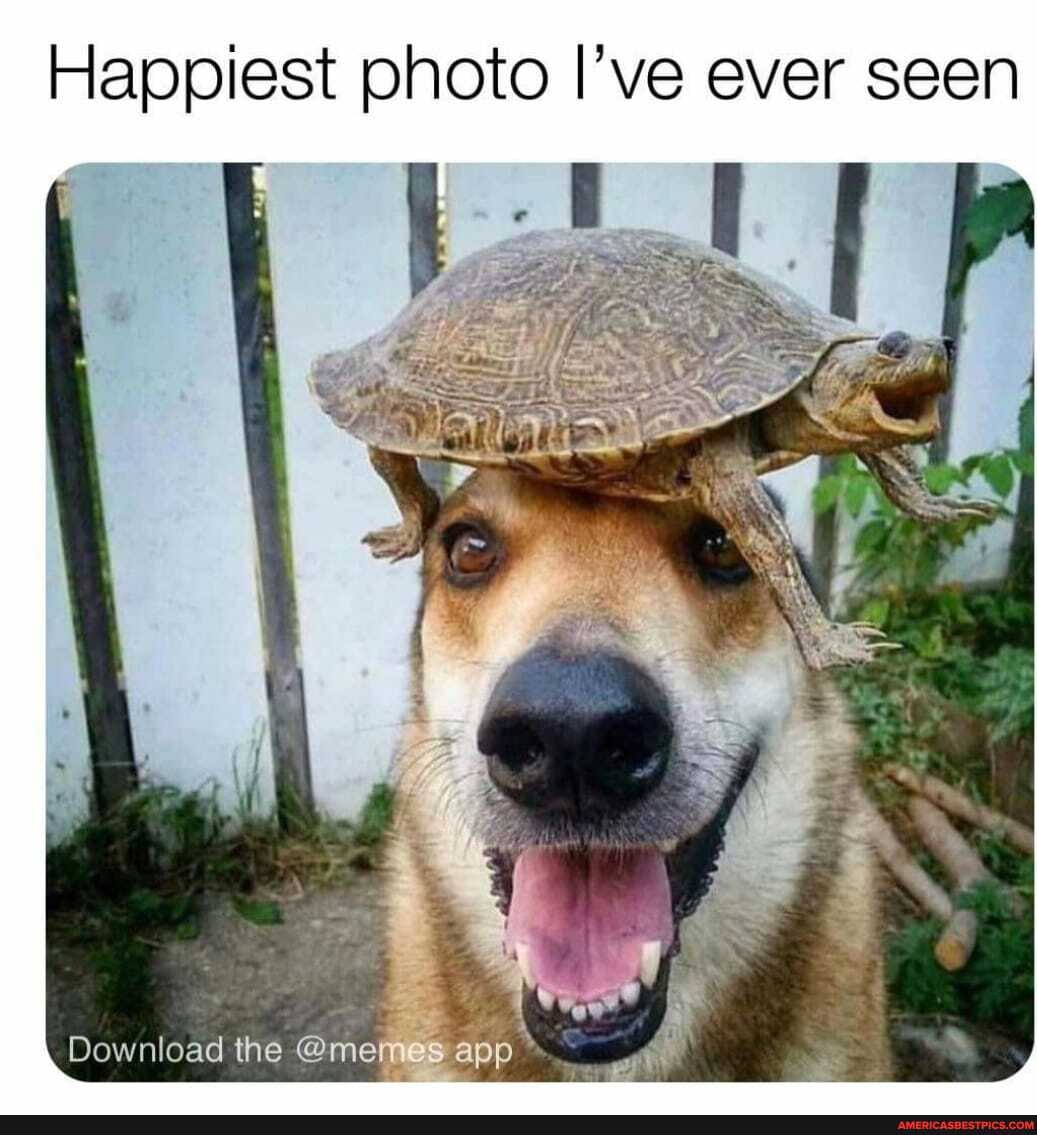 Happiest photo I've ever seen
Download the @me os apo