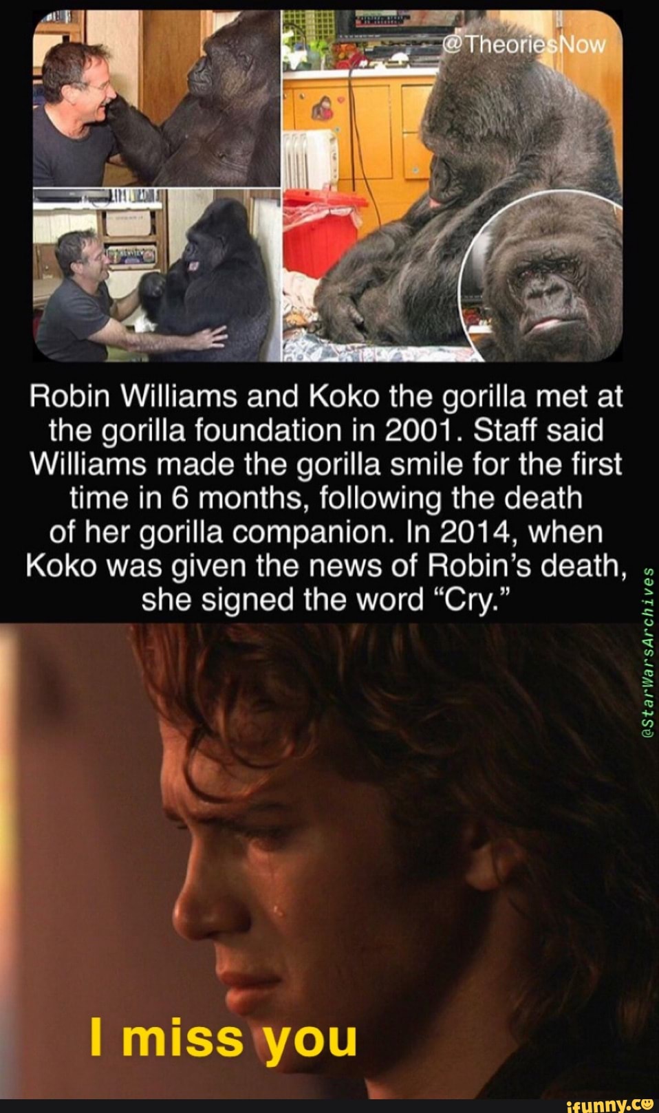Robin Williams and Koko the gorilla met at the gorilla foundation in