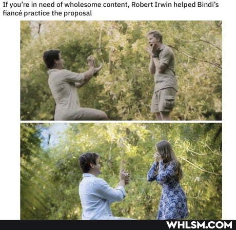 If you're in need of wholesome content, Robert Irwin helped Bindi's fianc practice the proposal