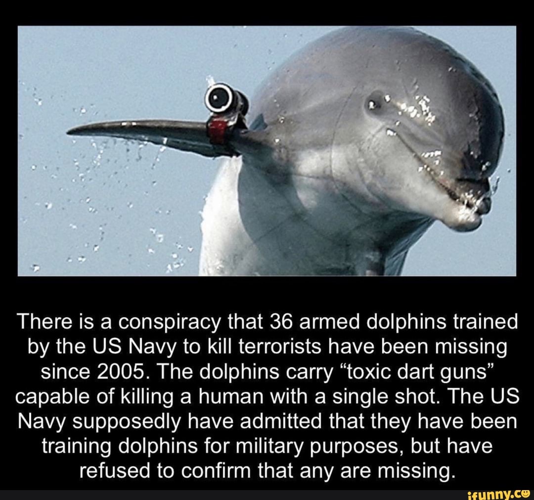 Navy-trained dolphins could be roaming the seas with toxic dart guns