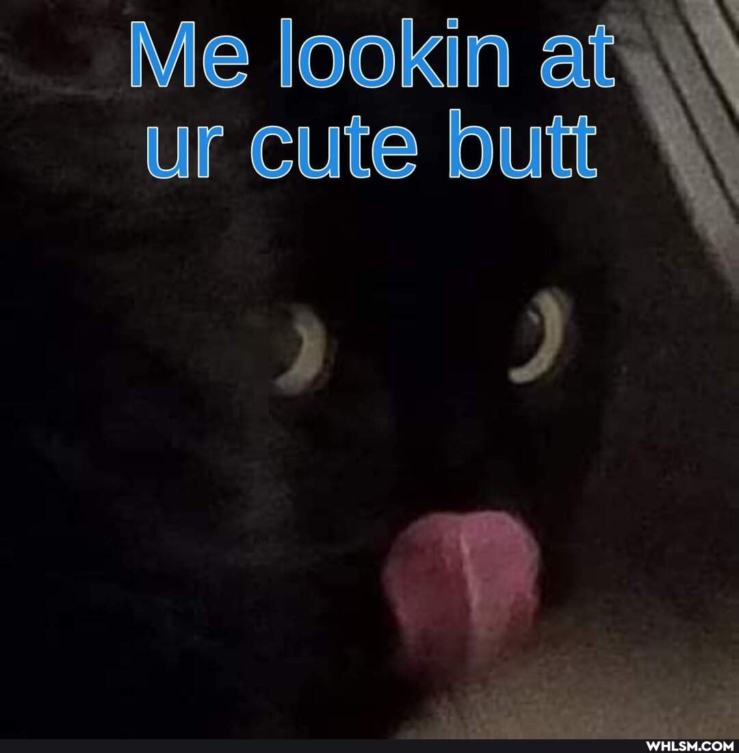 Me lookin af\\ ur cute butt