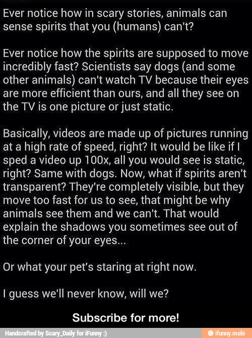 Ever notice how in scary stories, animals can
sense spirits that you (humans) can't?
Ever notice how the spirits are supposed to move
incredibly fast? Scientists say dogs (and some
other animals) can't watch TV because their eyes
are more
efficient than ours, and all they see on
the TV is one picture or just static.
Basically, videos are made up of pictures running
at a
high rate of speed, right? It would be like if I
sped a video up 100x, all you would see is static,
right? Same with dogs. Now, what if spirits aren't
transparent? They're completely visible, but they
move too fast for us to see, that might be why
animals see them and we can't. That would
explain the shadows you sometimes see out of
the corner
Or what your pet's staring at right now.
I guess we'll never know, will we?
Subscribe for more! - Subscribe for more!