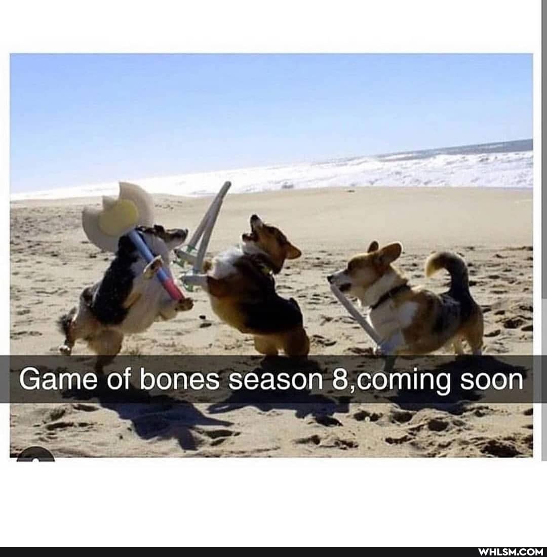 _Game of bb season ing soon