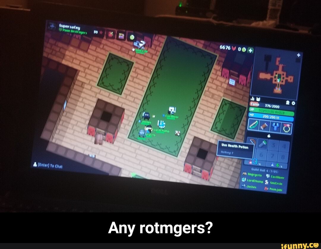 Any rotmgers? - Any rotmgers?
