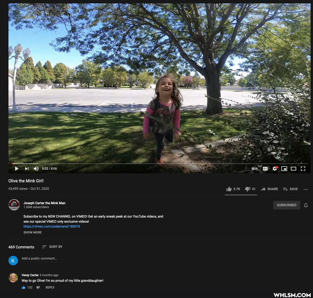 pl Mi)
Olive the Mink Girl!
43,495 views Oct 31, 2020
Joseph Carter the Mink Man
1.06M subscribers
Subscribe to my NEW CHANNEL on VIMEO! Get an early sneak peek at our YouTube videos, and see our special VIMEO only exclusive videos!
SHOW MORE
469 Comments SORT BY
'Add a public comment.
Veray Carter 3 months ago
Way to go Olive! Im so proud of my little granddaughter!
132 REPLY
SHARE SAVE
SUBSCRIBED