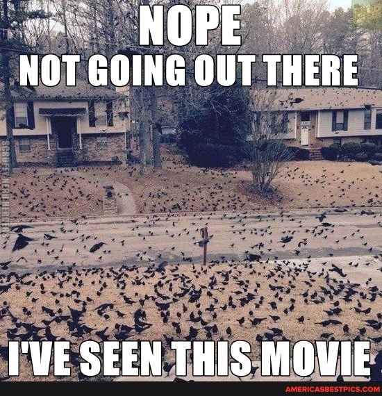 NOPE NOT GOING OUT THERE
I'VE SEEN THIS MOVIE