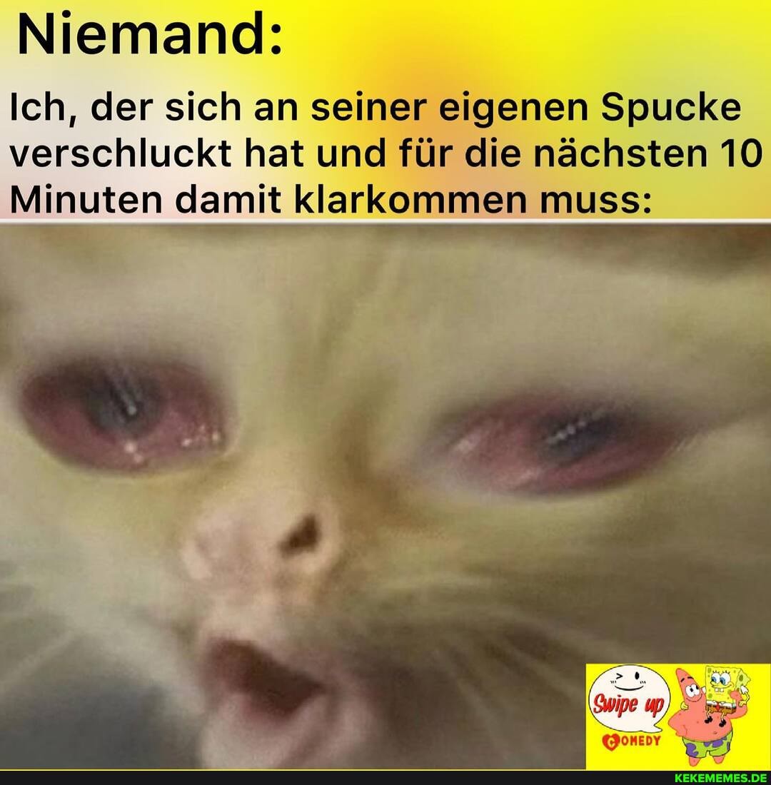 Niemand:
Ich, der sich an seiner eigenen Spucke
verschluckt hat und für die nächsten 10
Minuten damit klarkommen muss: